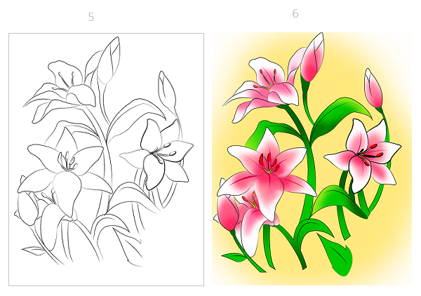 How to draw Lily flowers with a few steps - Image 2
